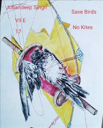 Kites Festival Happy Uttarayan Projects :: Photos, videos, logos,  illustrations and branding :: Behance